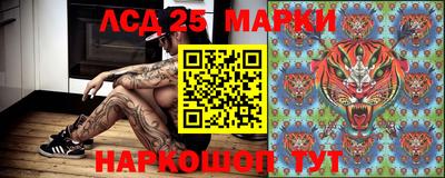PSILOCYBIN Севастополь