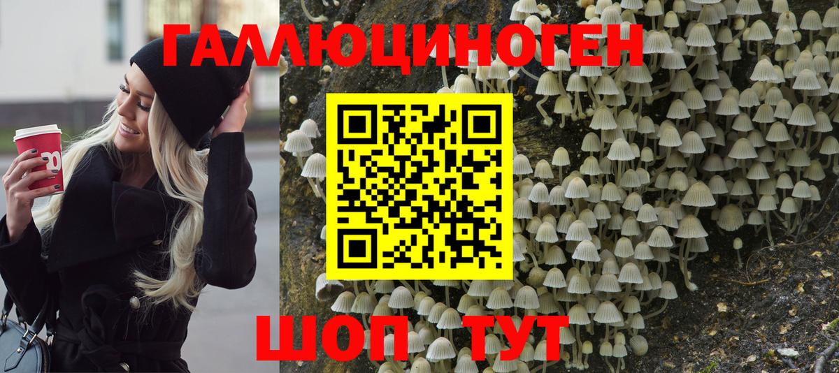 Псилоцибиновые грибы Psilocybine cubensis  Псилоцибиновые грибы мицелий  Вход с VPN  Благодарный 