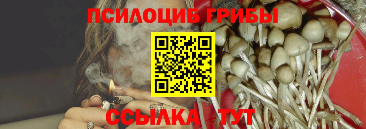 Галлюциногенные грибы Psilocybe Благодарный